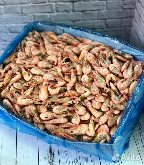 Креветки Северные оптом