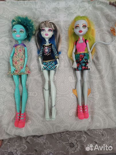 Кукла монстер хай Ханни, Френки, Лагуна