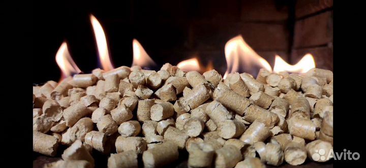 Топливные пеллеты светлые 