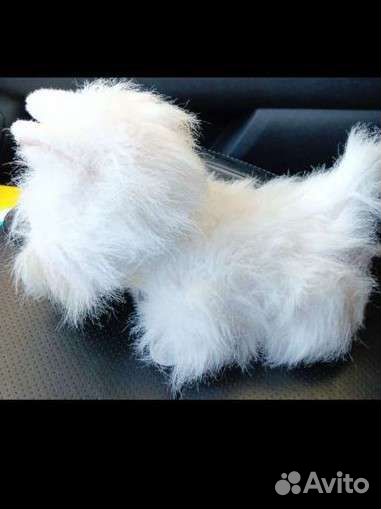 Интерактивная игрушка Собака Бакстер