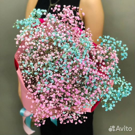 Гипсофила сухоцвет