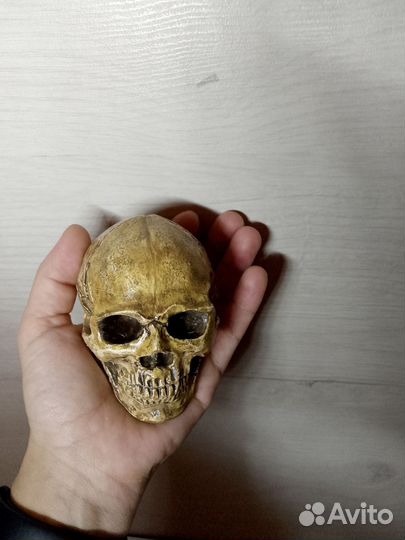 Гипсовая фигура череп