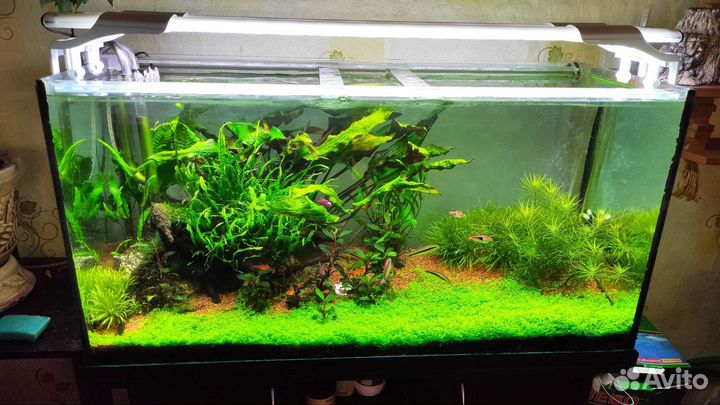 Аквариум