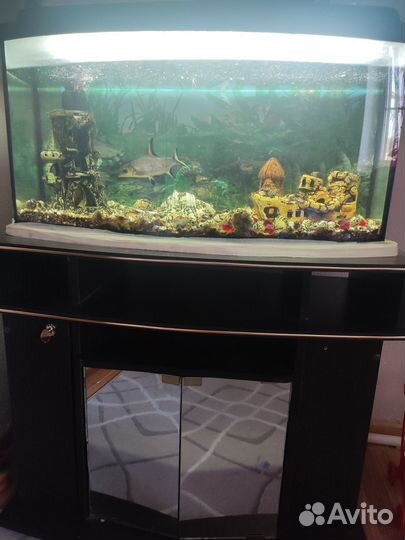 Аквариум с тумбой бу