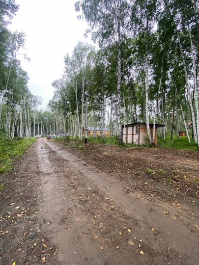 Участок 20 сот. (СНТ, ДНП)