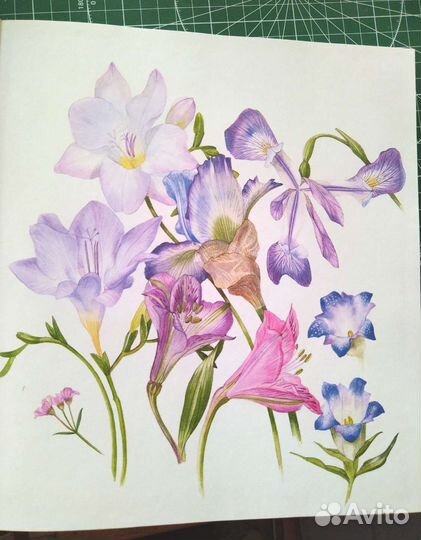 Книга Ботанические портреты