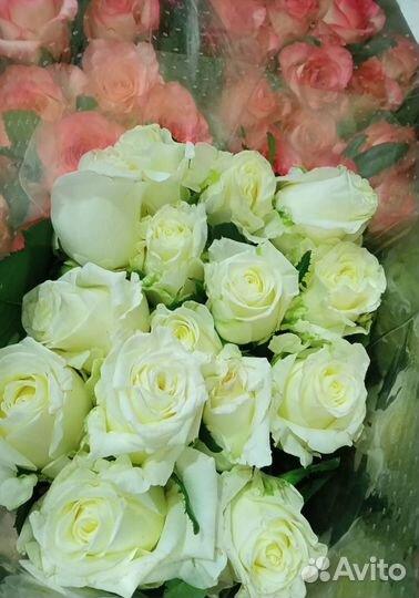 Букет роз/Букет 101 роза/Подарок