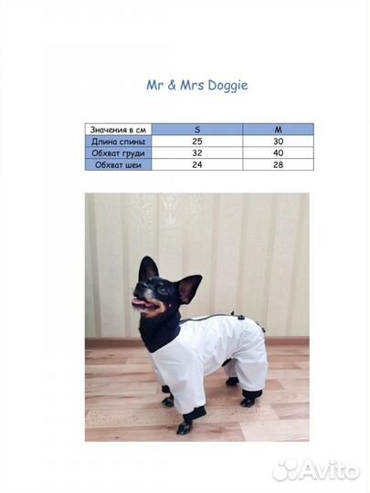 Новая разная одежда для животных