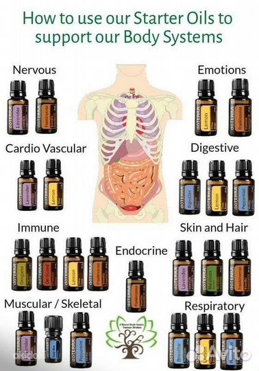 Эфирные масла doterra