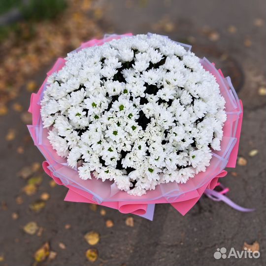 Букет xxxxxl из ромашек (хризантемы)