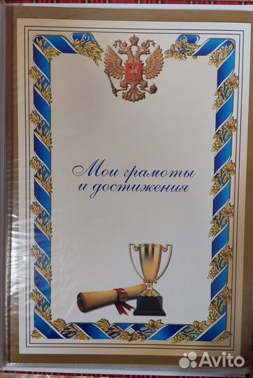 Папка-портфолио школьника, папка выпускника