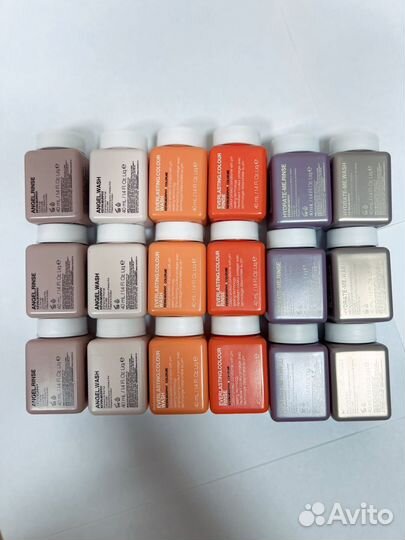 Kevin Murphy travel