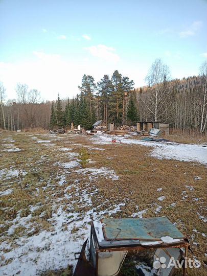 Продам пасеку