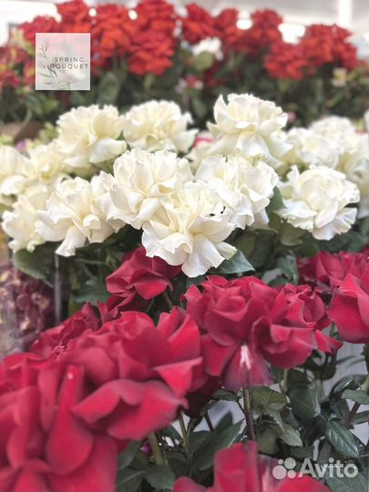 Французские розы