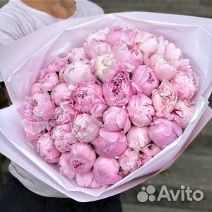 Пионы букет цветы купить
