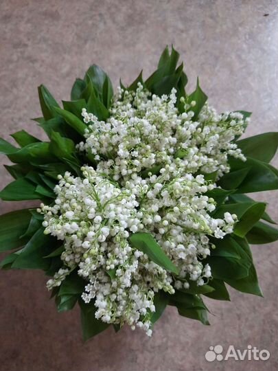 Букеты из садовых цветов