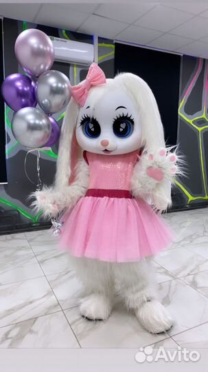 Поздравление от зайки