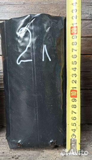 Пакеты для саженцев 1, 2 и 3 литра