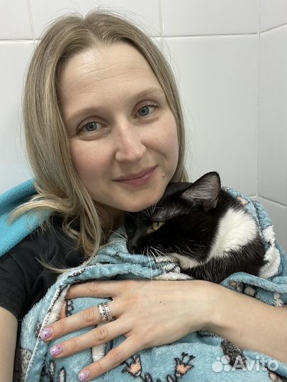 Льготная стерилизация и кастрация