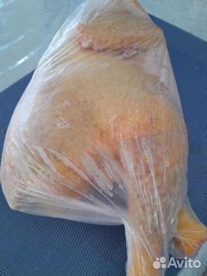 Мясо курицы (не бройлер)