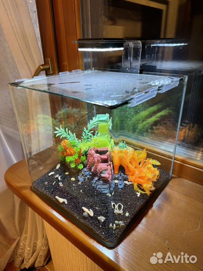 Аквариум 30л с комплектующими