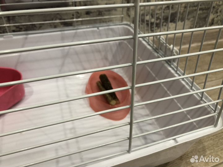 Клетка для декоративного кролика