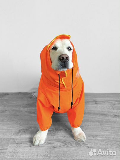 Одежда и обувь для собак и кошек