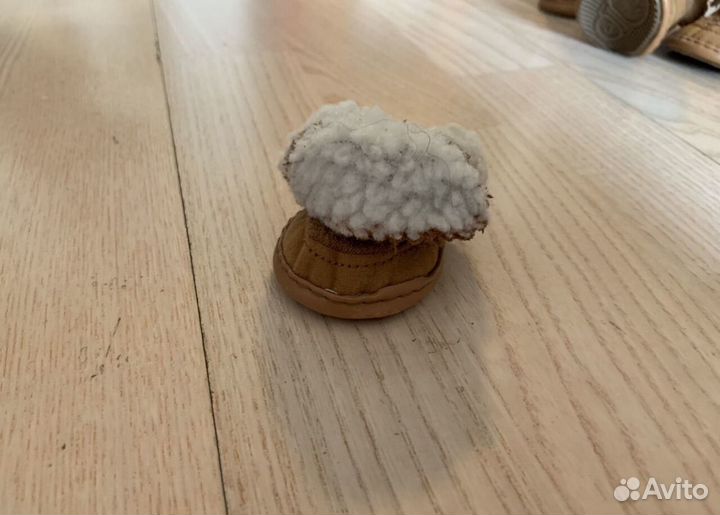 Ботинки для маленьких собак