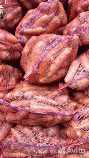 Овощи соления сухофрукты оптом и в розницу