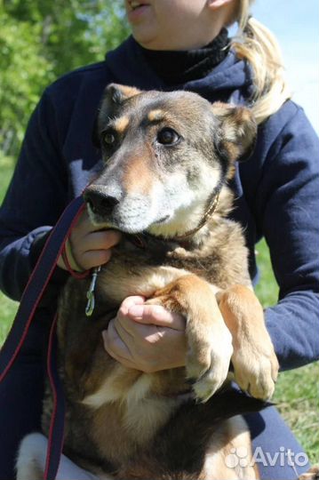 Она умрёт в приюте, так и не увидев другой жизни