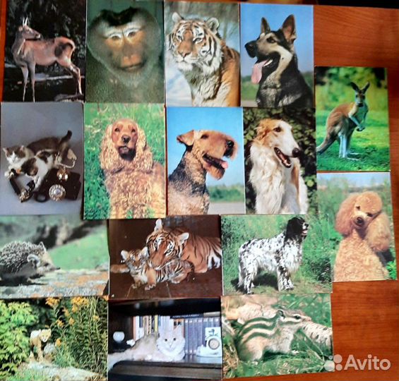 Открытки СССР новые