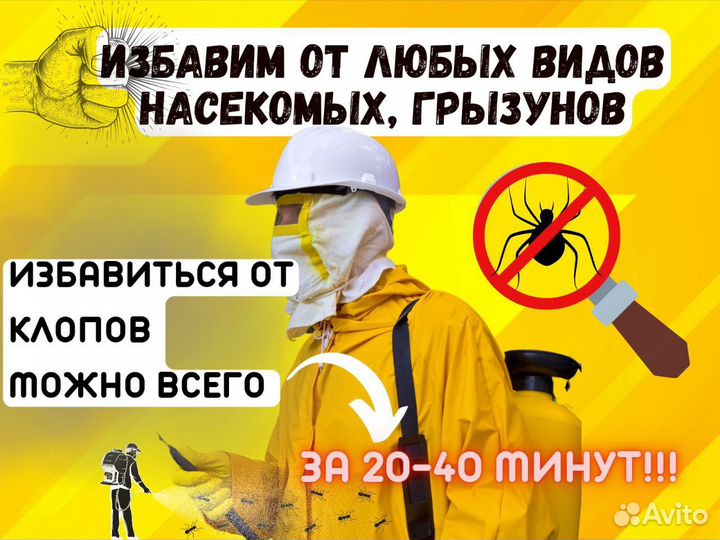 Травля насекомых,клопов,тараканов,дезенсектор