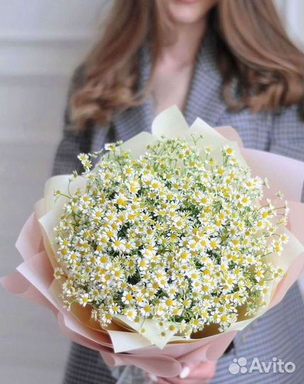 Цветы ромашки. Букеты ромашек. Цветы доставка