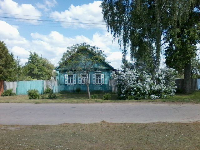 с. поселок воронок брянская область. село воронок стародубского района брянской области. воронок брянская. церковь в с.