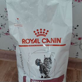 Сухой корм для кошек royal canin