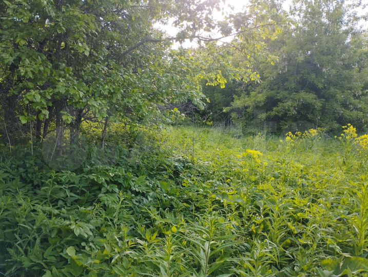 Участок 24 сот. (ИЖС)