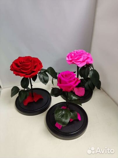 Подарок маме / Розы оптом