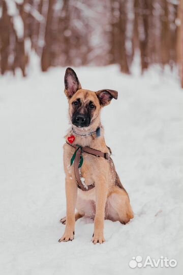 Подарите девочке жизнь