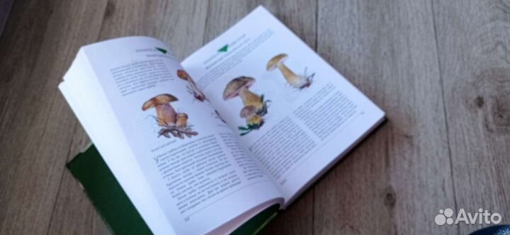 Энциклопедия природы России