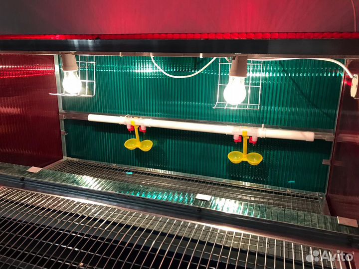 Брудеры для цыплят