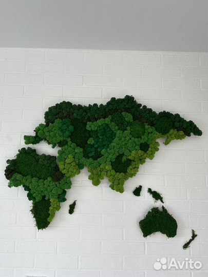 Панно Карта Мира из мха ягеля