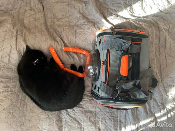 Переноска для кошек и собак