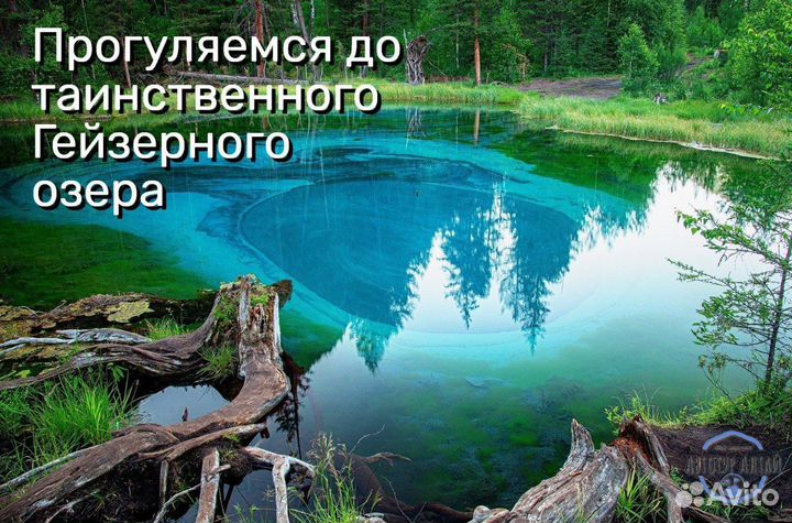Туры на Алтай: Алтай 2024