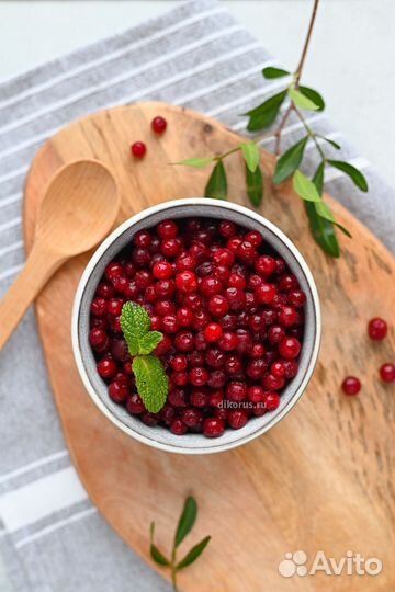 Брусника замороженная в розницу и оптом