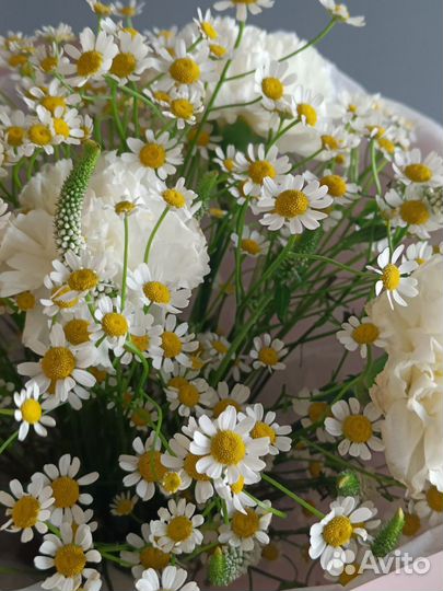 Букет ромашек Ромашки Цветы Доставка букетов