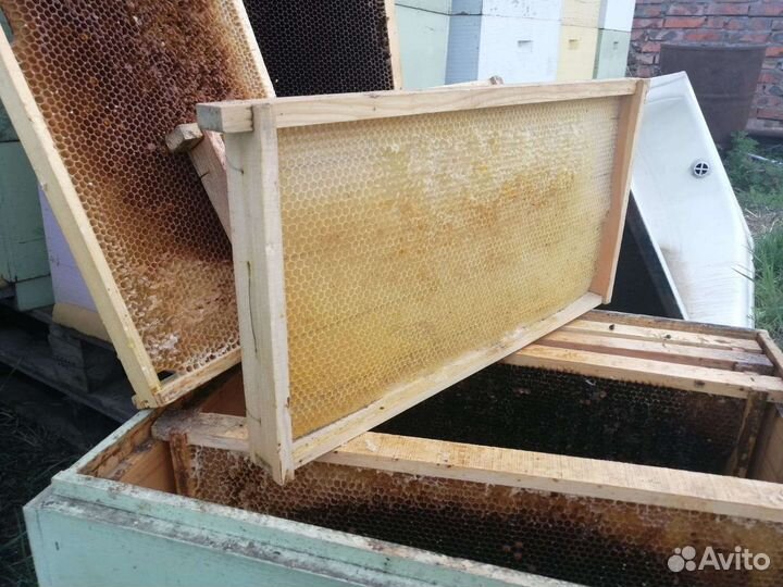 Рамки с сушью, сушь