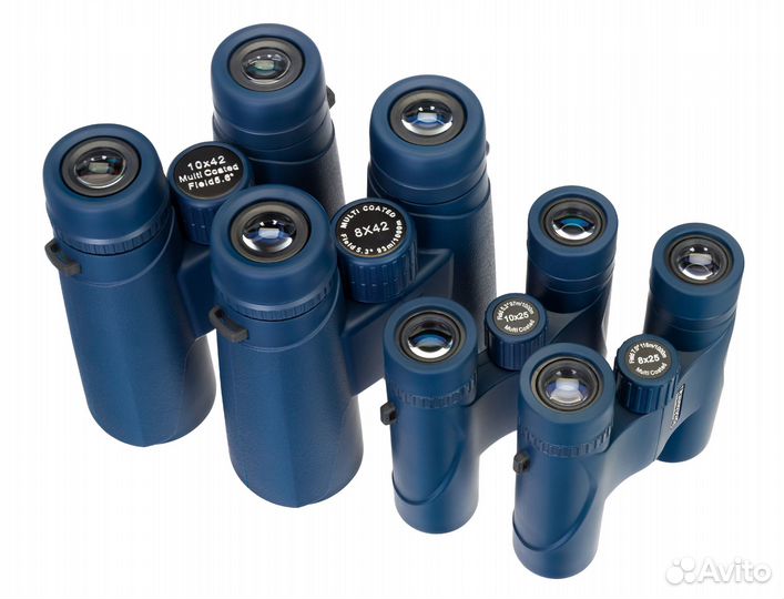 Бинокль Levenhuk Discovery Elbrus 10x42