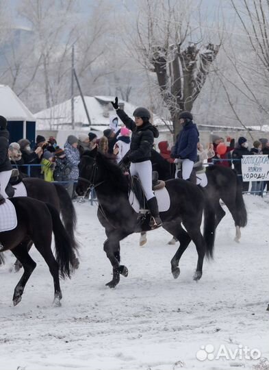 Экскурсии по ипподрому