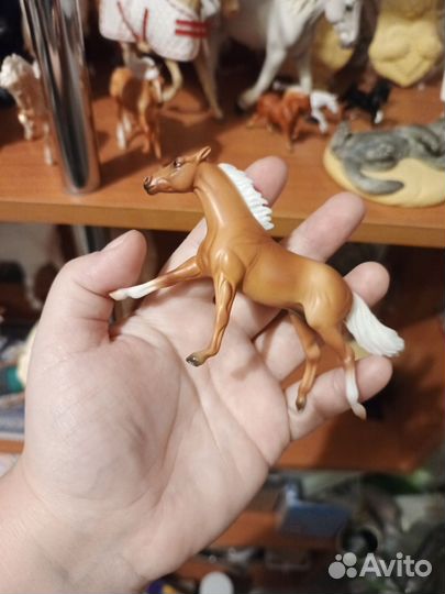 Стейбл боди