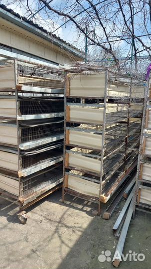 Сетки для птиц и перепелов